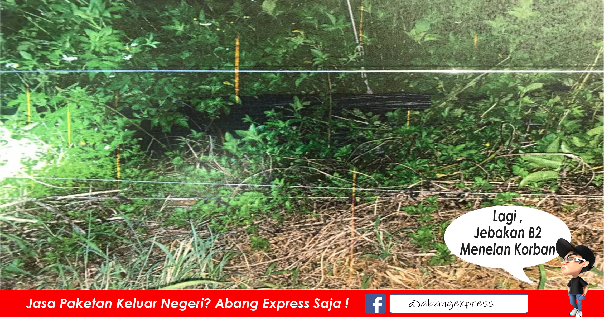 Read more about the article WNIO di Puli Nantao Meninggal karena Kesetrum Jebakan Babi Hutan